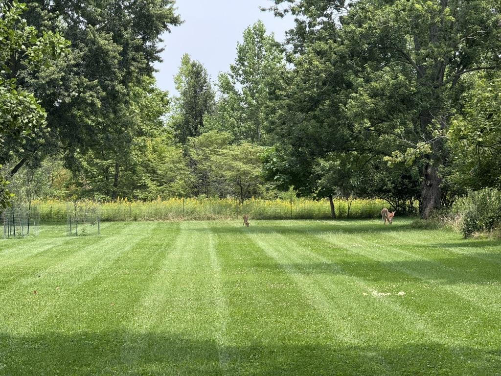 Lawn care project
